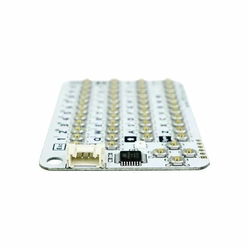 CardKB v1.1-1