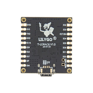 LILYGO T-Lora C6-4