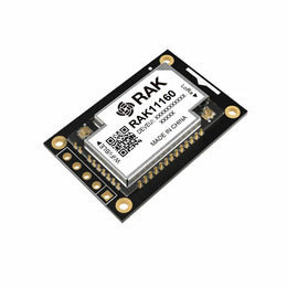 RakWireless RAK11162 STM32WLE5 für LoRaWAN Espressif ESP32-C2 BLE WiFi EU